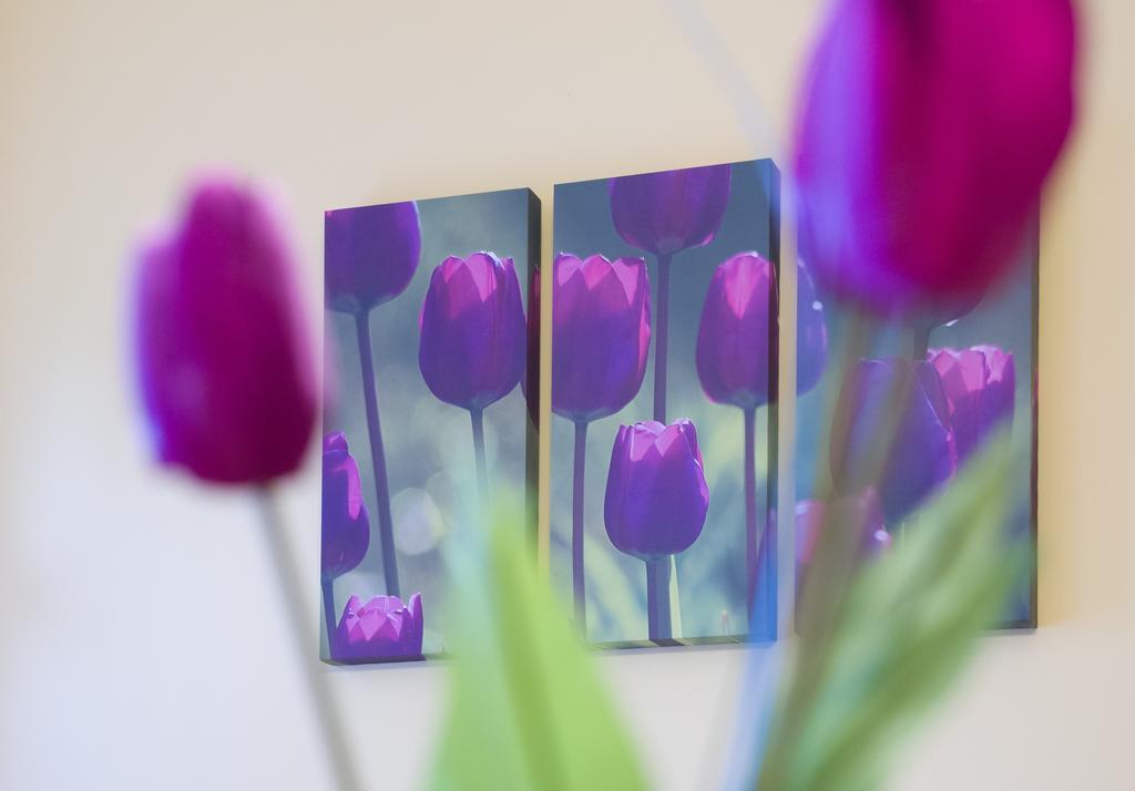 Aqua Apartman Gyula Pokoj fotografie